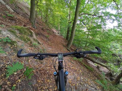 Saalleiten Trail