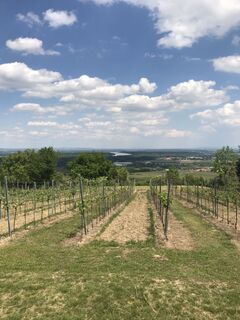 Foto van Maxspeed langs de tour