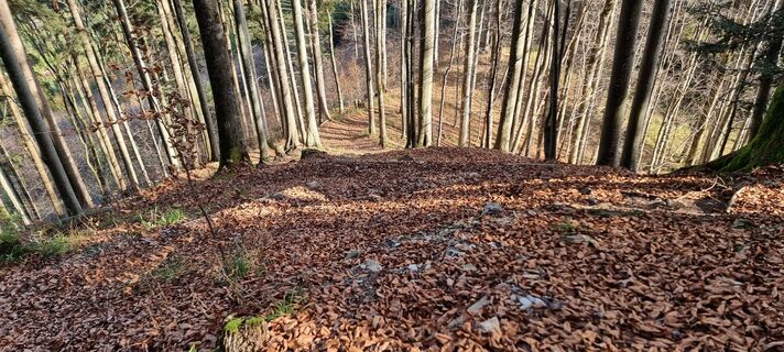 Photo from Manuela Huemer Frisco along the tour