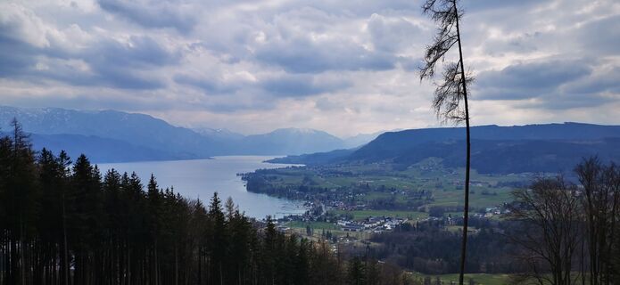 Foto von Klaus Lehner entlang der Tour