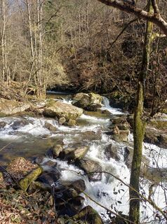 Fotografija s spletne strani Andrea Rothbauer na poti