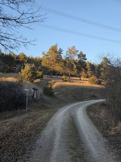 Foto de Doris Unger 1 a lo largo del recorrido