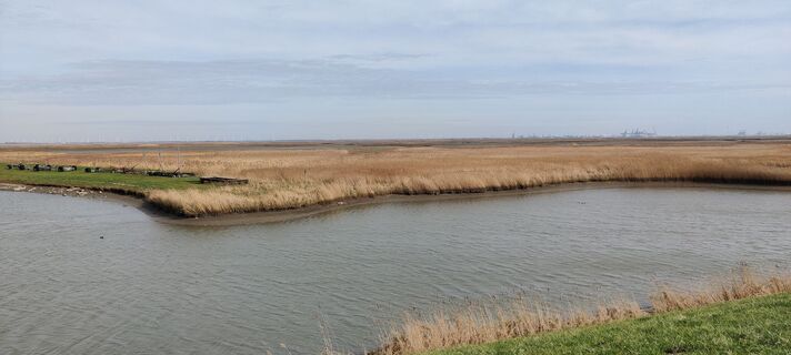 Photo de Gie van den eeckhaut le long du parcours