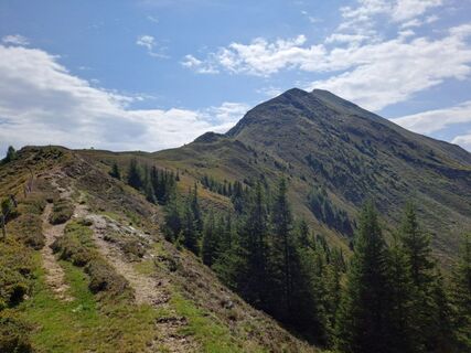 Fotografia z Alexanderaigner na trase