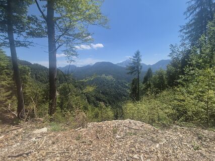 Foto von Katja Šinkovec entlang der Tour