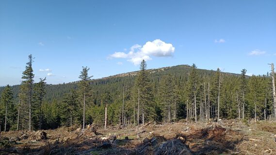 Fotografia z Bergpirat na trase