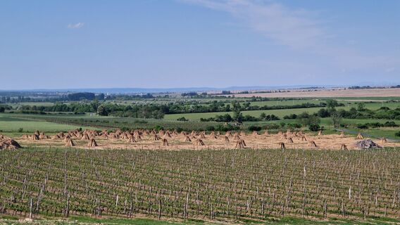 Foto von MauiGra entlang der Tour