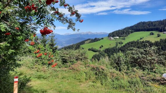 Aussichtspunkt Seckauer Alpen