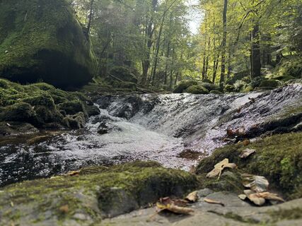 Fotografija s spletne strani Adnan Cemal na poti