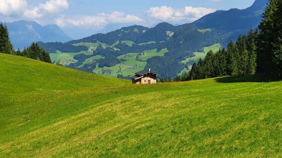 Fotografie z Gerrit van der Linde na trase