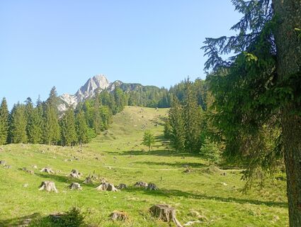 Fotografia z Monika Jeskova na trase