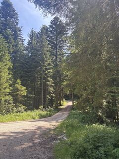 Fotografija s spletne strani Heinz Sperl na poti
