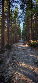 Photo from ReginaSt along the tour