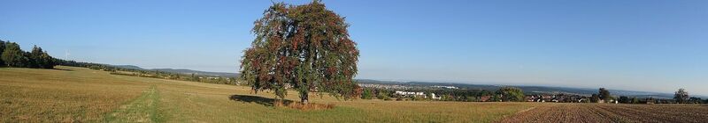 Panorama von der Schwanner Warte