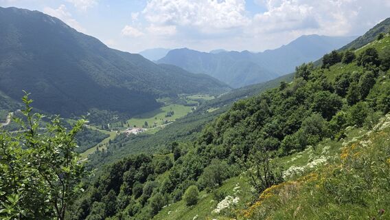 Photo de euterpe42 le long du parcours