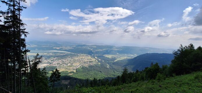 Photo de Carine Suzuki le long du parcours
