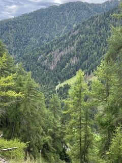 Fotografie z Famiglia Daidone na trase