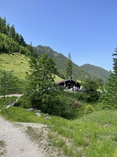 Photo de wyly le long du parcours