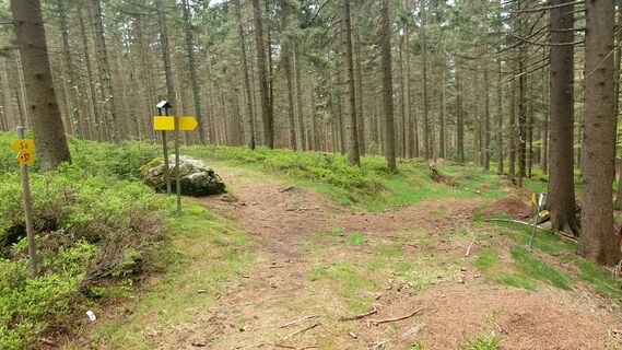 2.3 km Linksabzweigung rund um den Viehberg