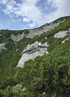 Photo de se_muck le long du parcours