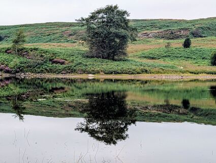 Photo de ottiperk le long du parcours