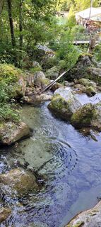 Foto da Nicky lungo il tour