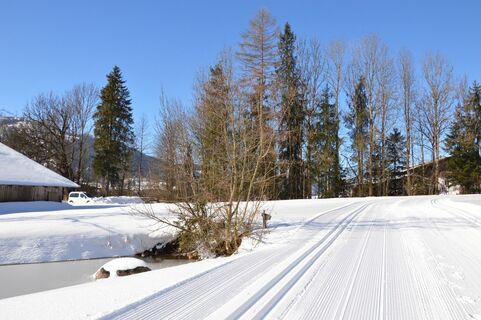 Going_Blattlloipe_Winter2020_Daniela_Pfeiler_(15).JPG