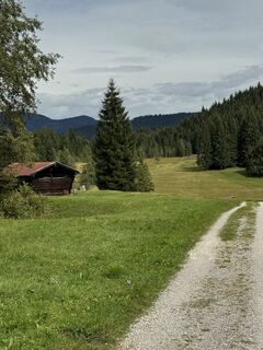 Fotografija s spletne strani Denise Miller na poti
