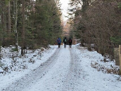Naas_Oststeiermark