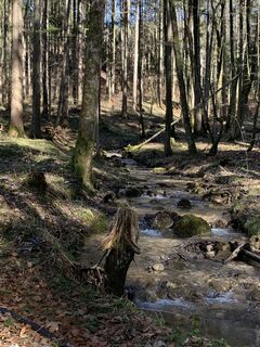 Foto da Birgit Fischer 2 lungo il tour