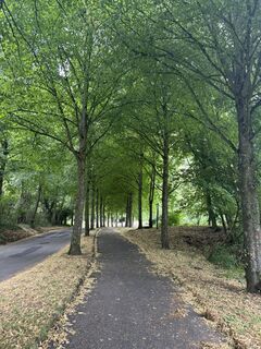 Foto fra Sandra Koelbl undervejs på turen