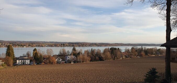 Photo de garrincha le long du parcours