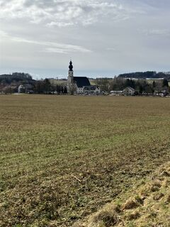 Photo de Daniel Vogel le long du parcours