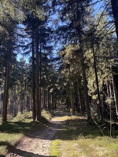 Fotografie z Heinz Sperl na trase