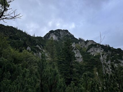 Fotografia z Norbert Herbig na trase