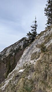 Fotografia z W.K. na trase