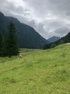 Fotografija s spletne strani Barbara Lung na poti