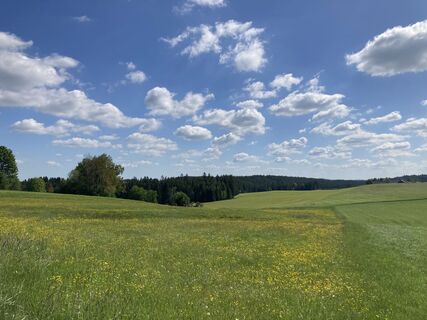 Fotografia z Moonytiger na trase
