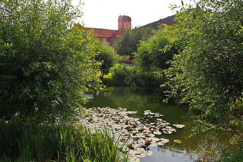 Teich im Schloss Breitungen