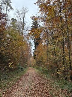 Fotó a ManCam honlapról a túra során