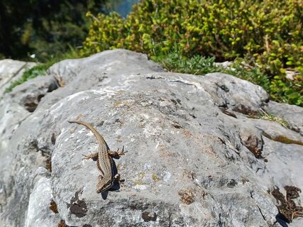 Foto von Erwin Kohlbacher entlang der Tour