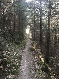 Schmaler Pfad auf dem Rückweg zum Parkplatz