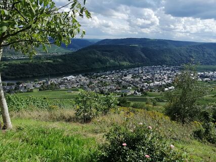 Foto von Eifeleddy entlang der Tour