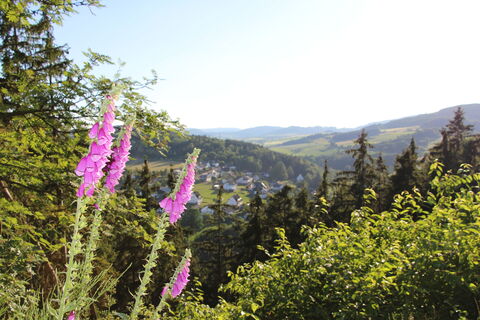 Panoramablick vom Opolt