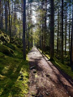 Foto von Andreas Hill entlang der Tour