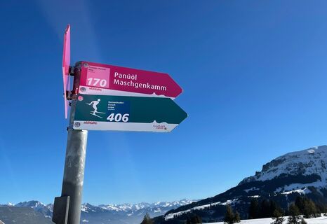 Wegweiser Prodalp