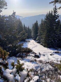 Fotografija s spletne strani Martin Meusburger na poti
