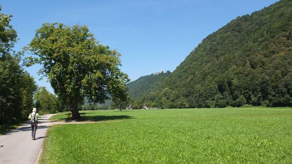 Schöne Aussicht an der Donau