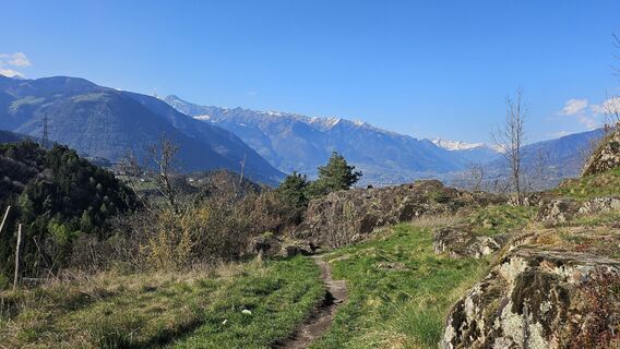 Fotografija s spletne strani Désirée Polz na poti