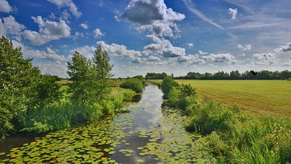 Wasser und Weite in Aurich